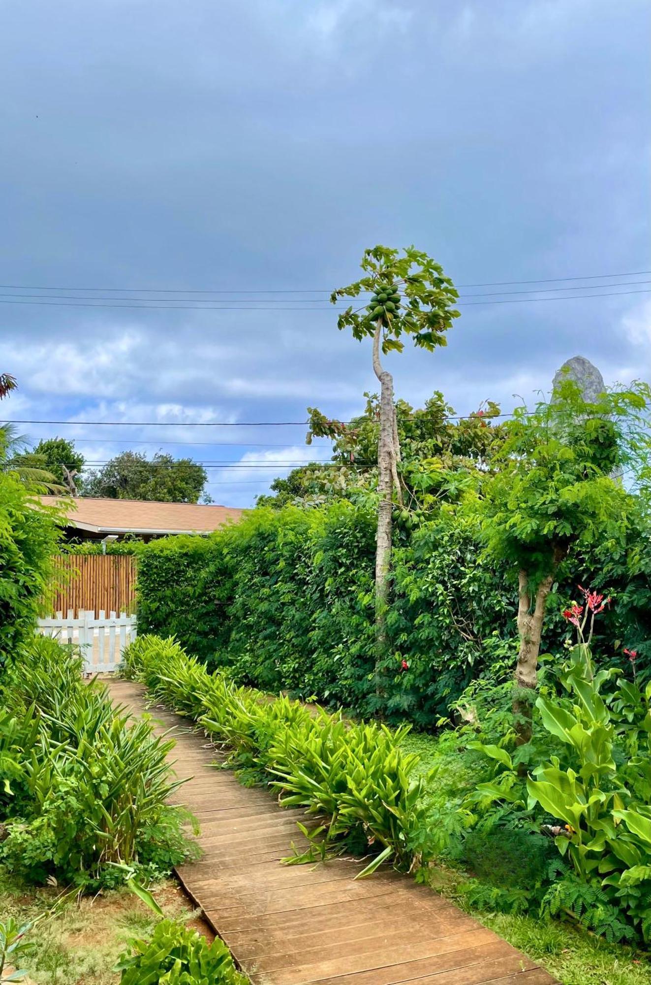 Casa Do Anjo Hotel Fernando de Noronha Luaran gambar